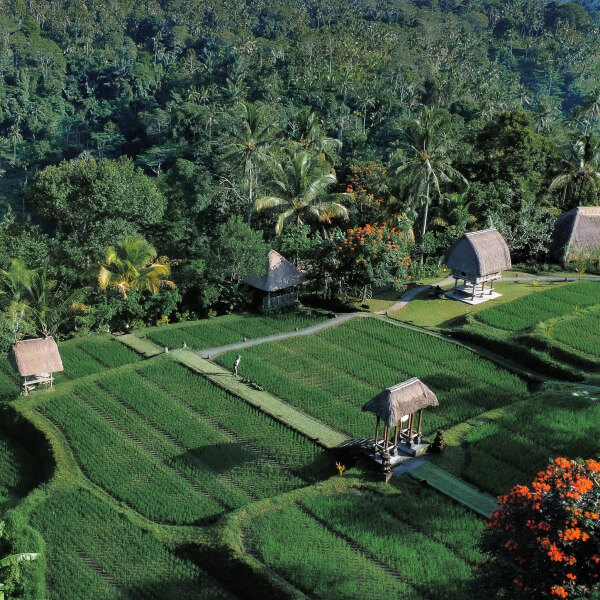bali-pulina-heritage-destination