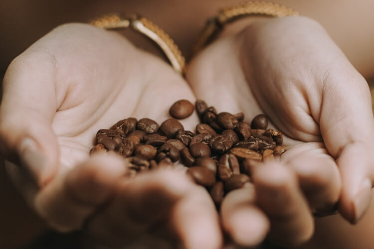 Bali Pulina Coffee
